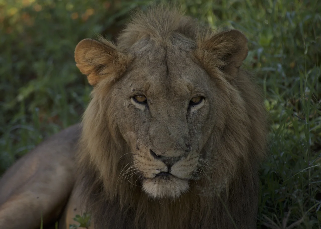 do i need a visa to visit tanzania